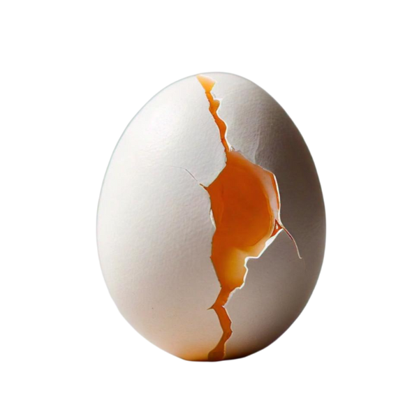 Eggspert